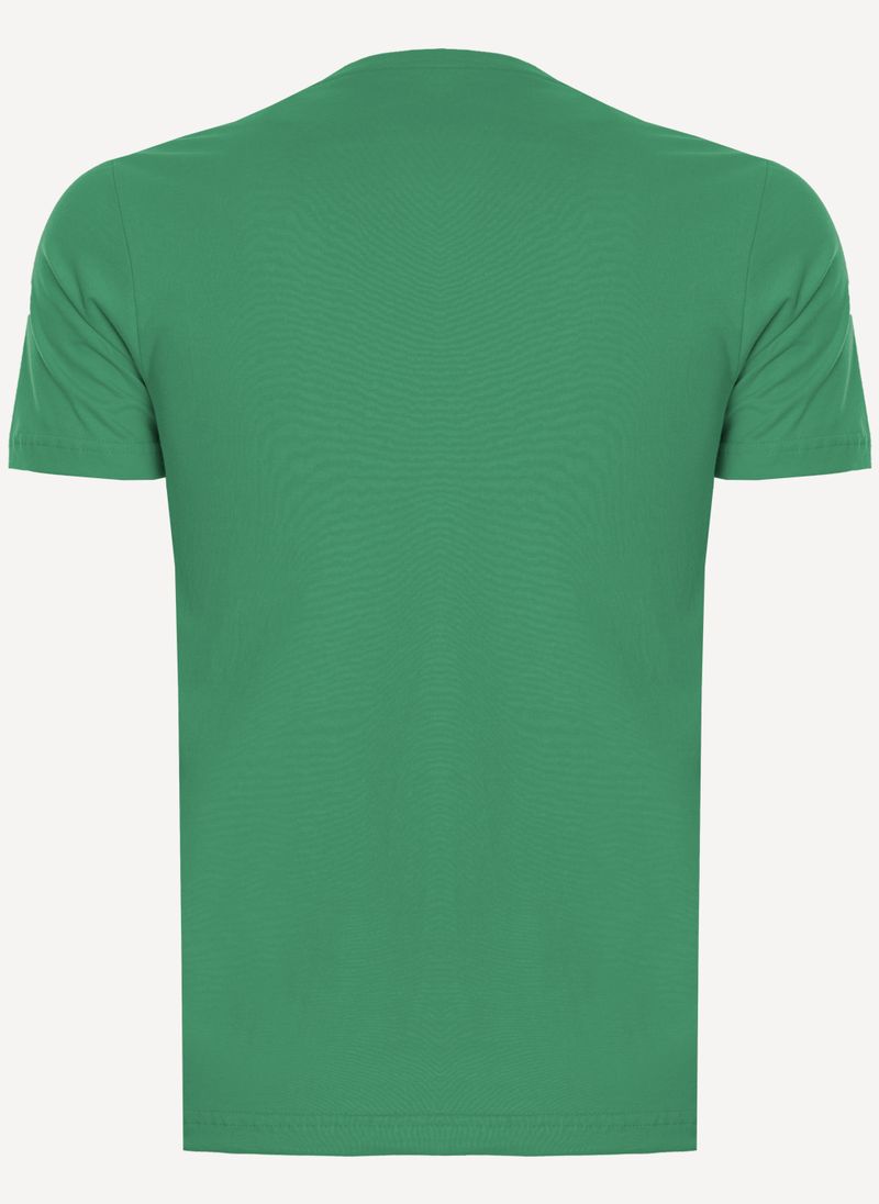 https---s3-sa-east-1.amazonaws.com-softvar-Zetop-47328-img_original-camiseta-aleatory-masculina-still-lisa-verde-2-