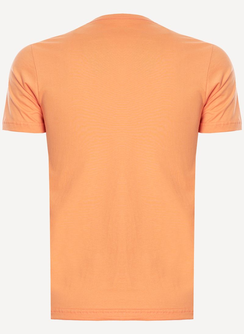 https---s3-sa-east-1.amazonaws.com-softvar-Zetop-53212-img_original-camiseta-aleatory-masculina-still-basica-lisa-laranja-2-