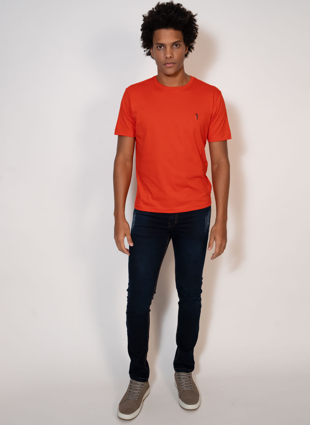 https---s3-sa-east-1.amazonaws.com-softvar-Zetop-62234-img_original-modelo-camiseta-aleatory-masculina-fit-laranja-3-