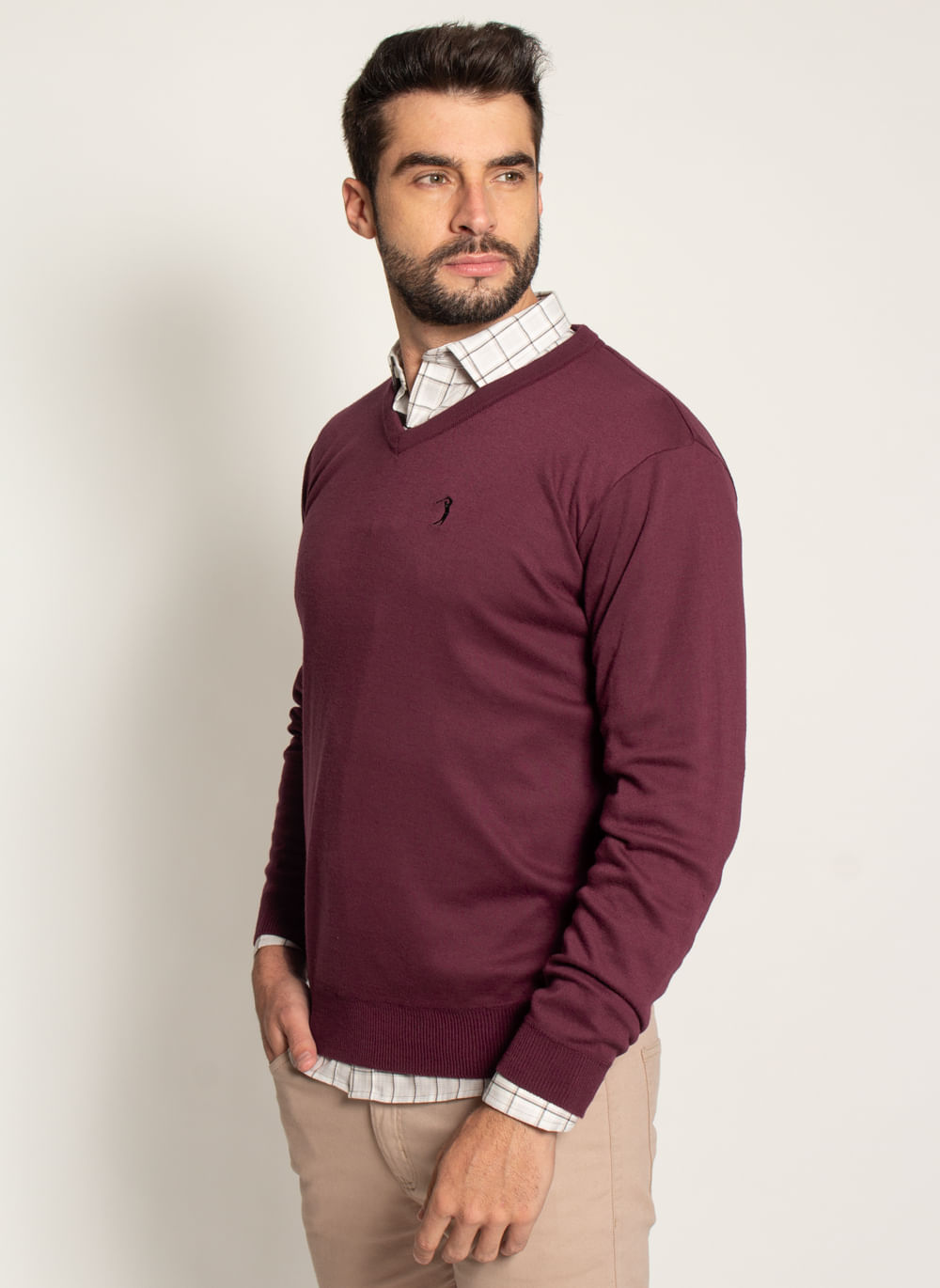 https---s3-sa-east-1.amazonaws.com-softvar-Zetop-53636-img_original-sueter-aleatory-masculina-modelo-gola-v-new-frame-vinho-4-