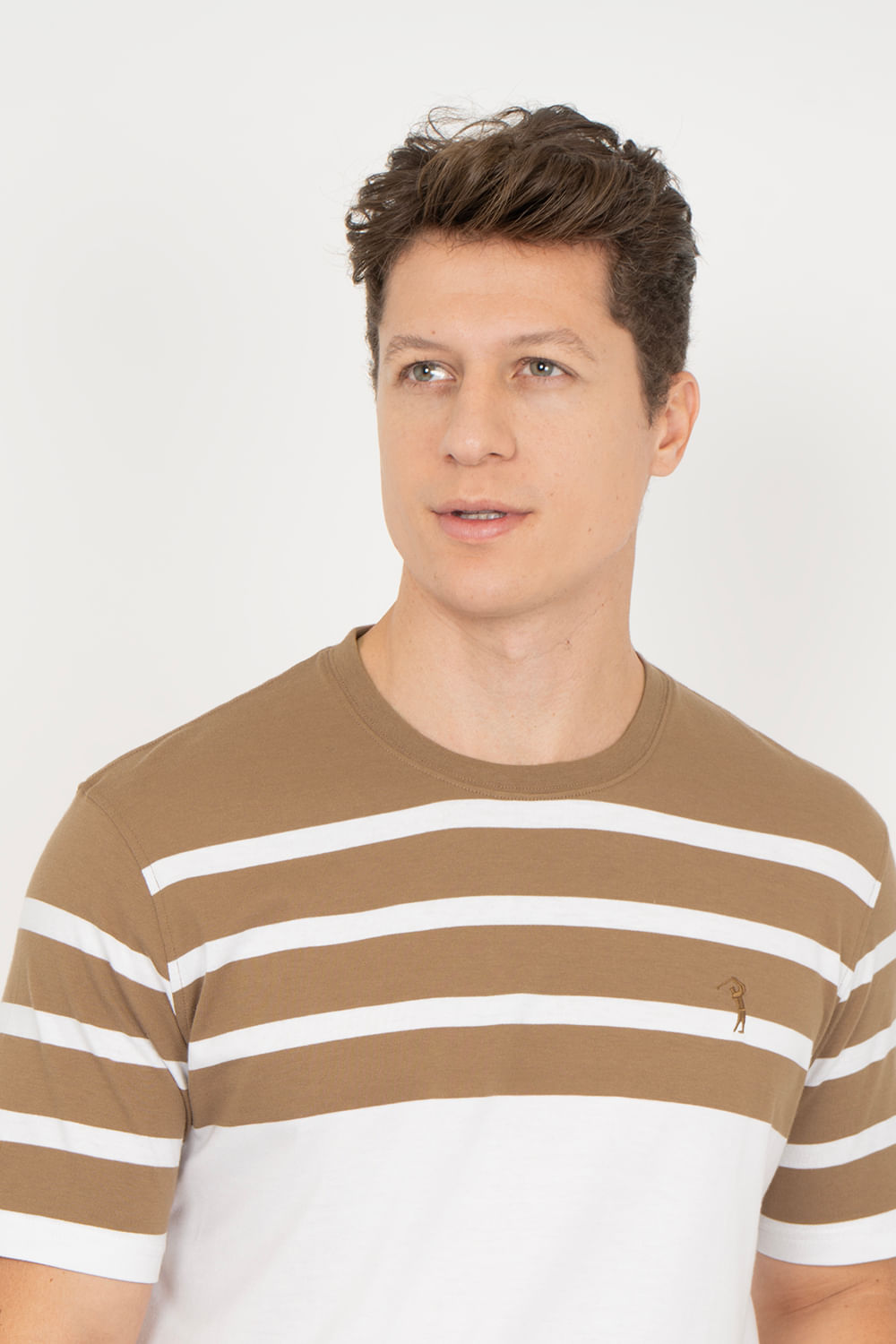 Camiseta-Aleatory-Listrada-Chop-Marrom-Marrom-P
