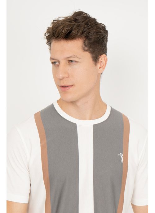Camiseta Aleatory Listrada Thinker Cinza