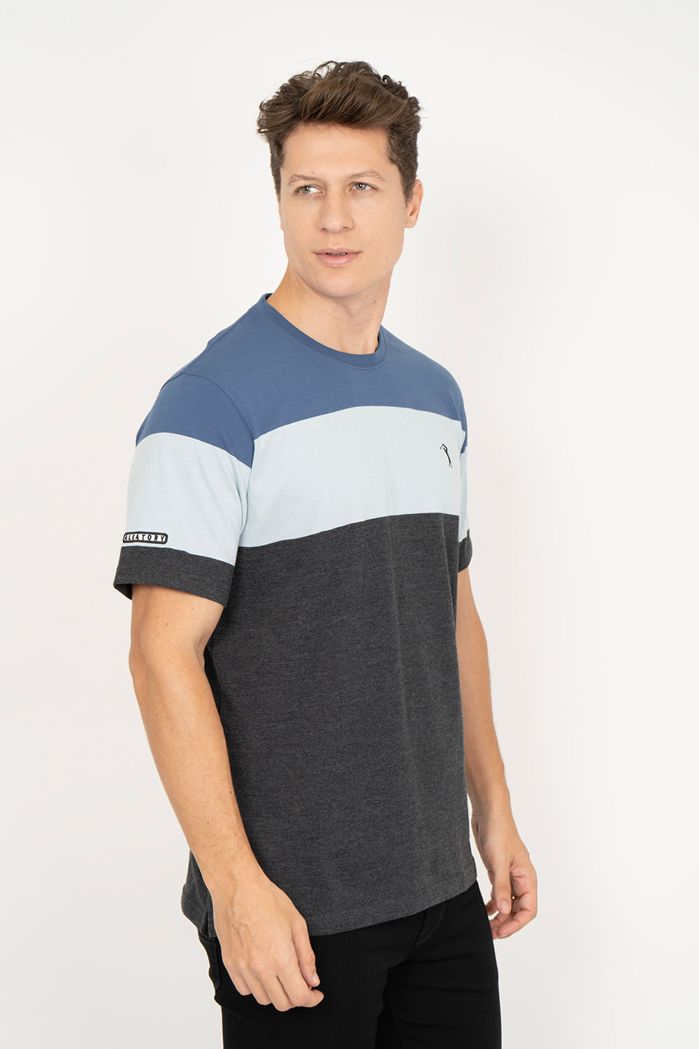 Camiseta-Aleatory-Listrada-Theme-Azul-Azul-P