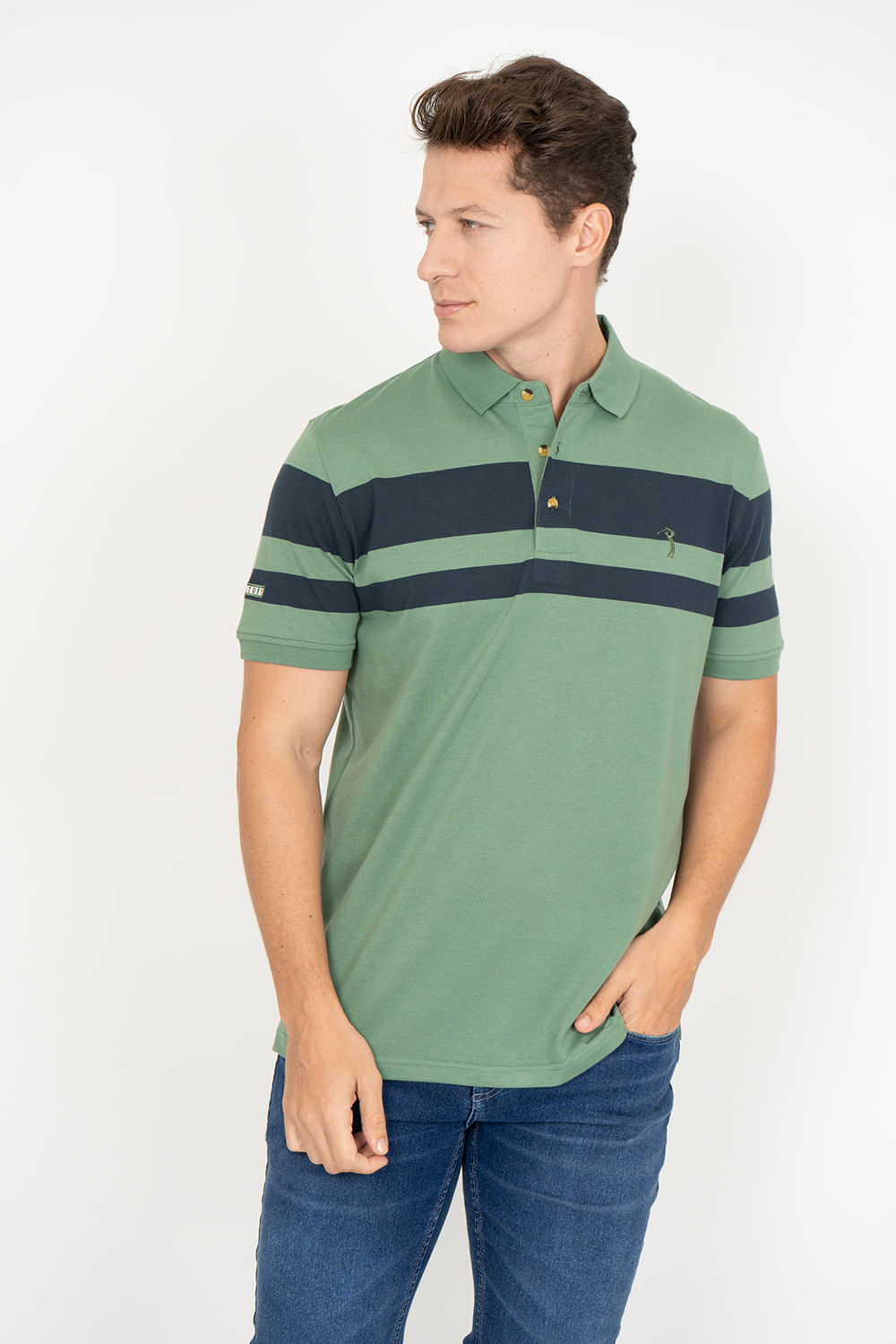 Camisa-Polo-Aleatory-Listrada-Essay-Verde-Verde-P