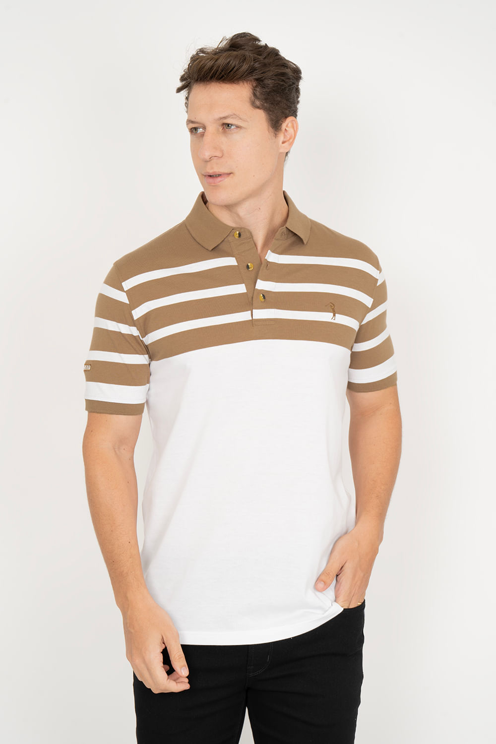 Camisa-Polo-Aleatory-Listrada-Endorse-Marrom-Marrom-P