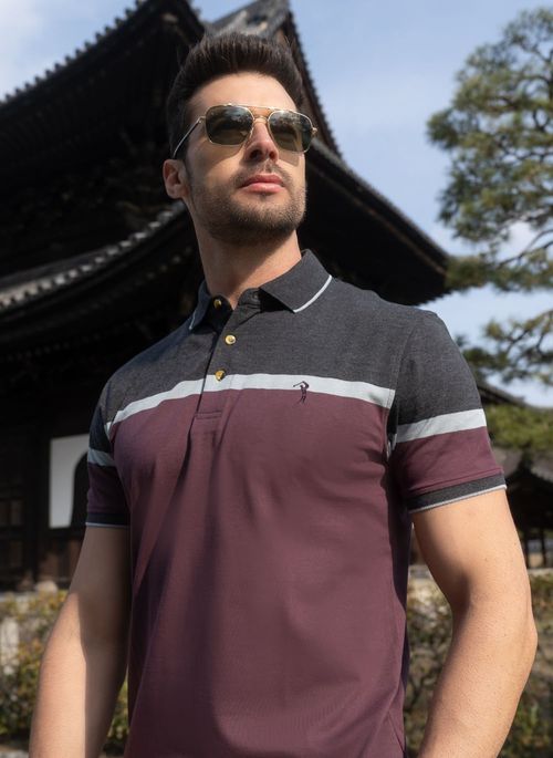 Camisa Polo Aleatory Listrada Charge Roxo